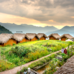 Top Pet-Friendly Places to Visit in India with Your Pets in 2025