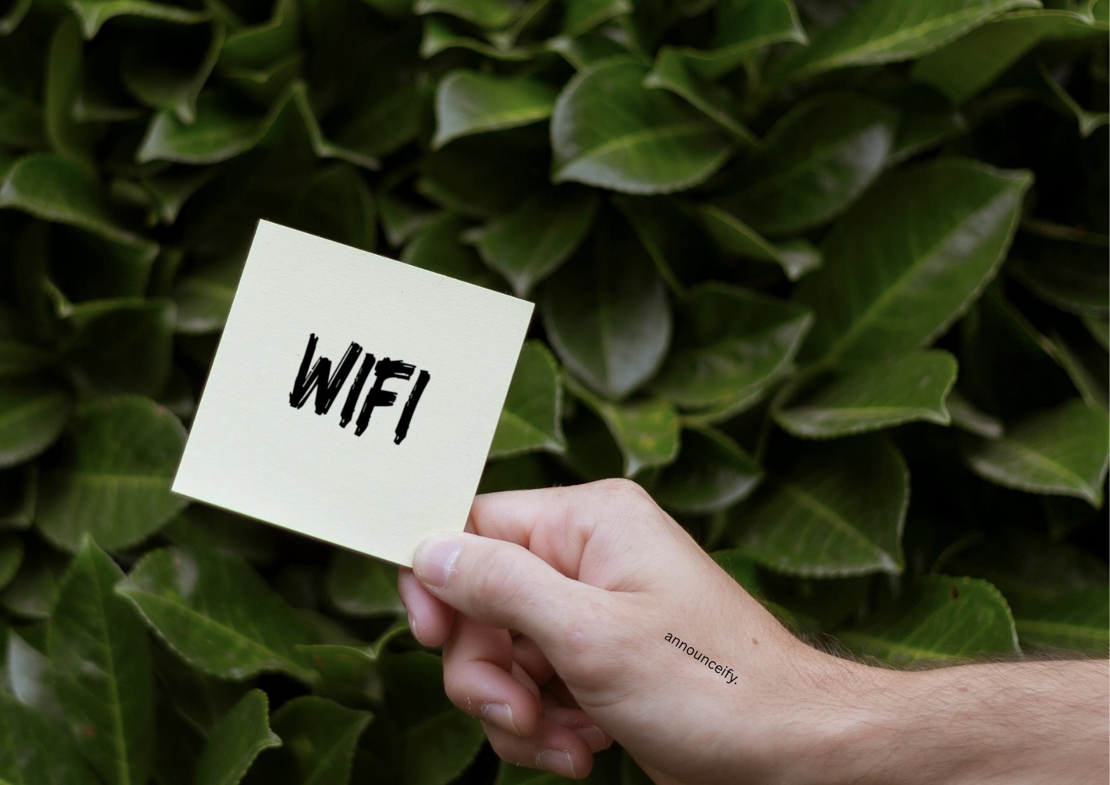Is Your Wi-Fi the Weak Link? Simple Steps to Secure Your Home Network
